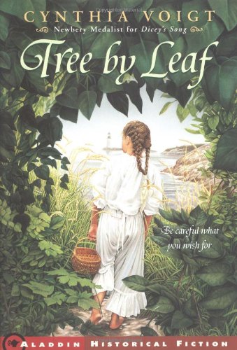 Tree By Leaf Cover