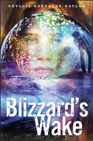 Blizzard's wake Cover