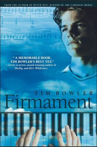 Firmament Cover