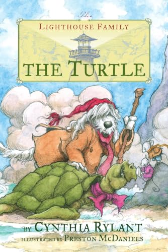 The Turtle (Lighthouse Family) Cover