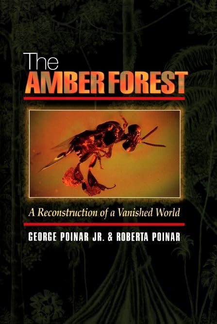 The amber forest Cover