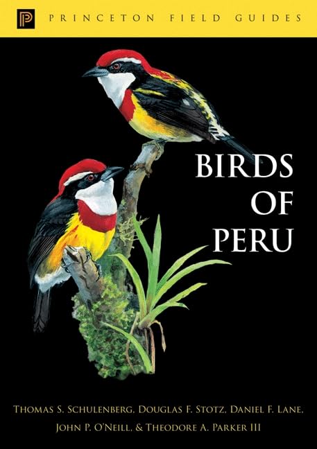 Birds of Peru (Princeton Field Guides) Cover