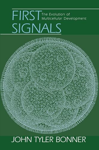 First signals Cover