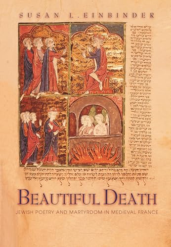 Attempted cover for Book ID: 069109053X