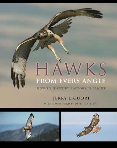 Hawks from every angle Cover
