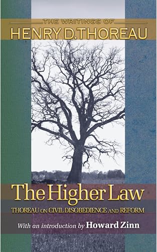 The Higher Law Cover