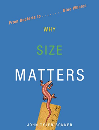Why Size Matters Cover