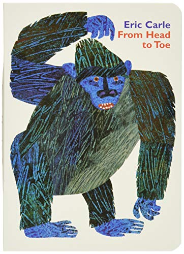 From head to toe Cover