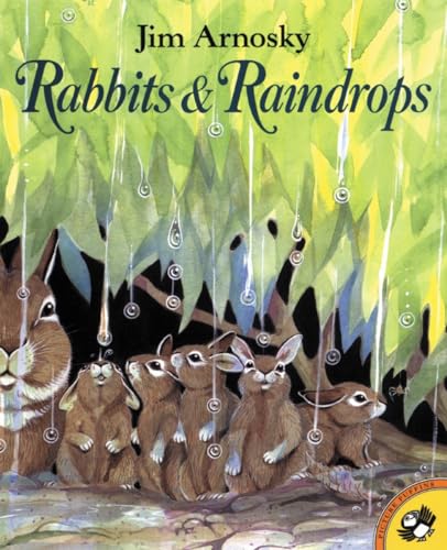 Rabbits & raindrops Cover