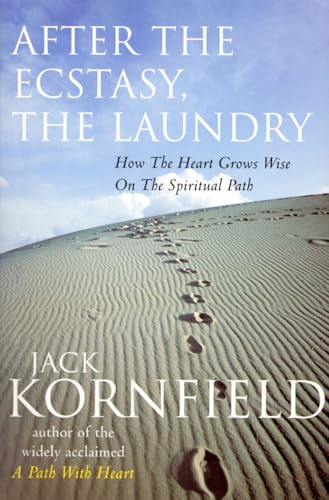 After the Ecstacy, the Laundry Cover
