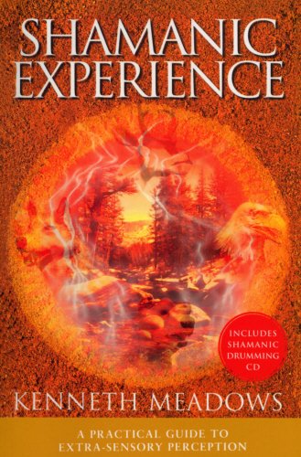 Shamanic experience Cover
