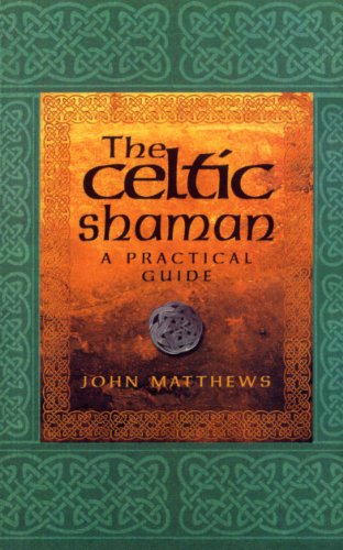 The Celtic Shaman Cover