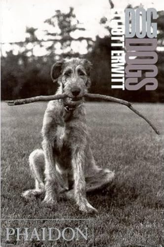 Dogdogs Cover