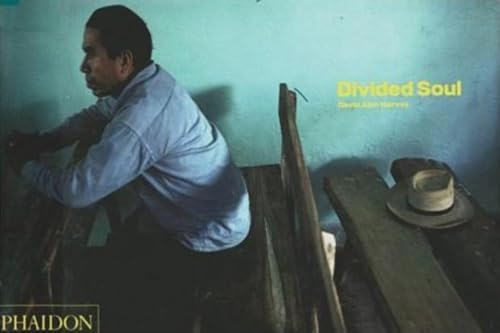 Divided soul Cover