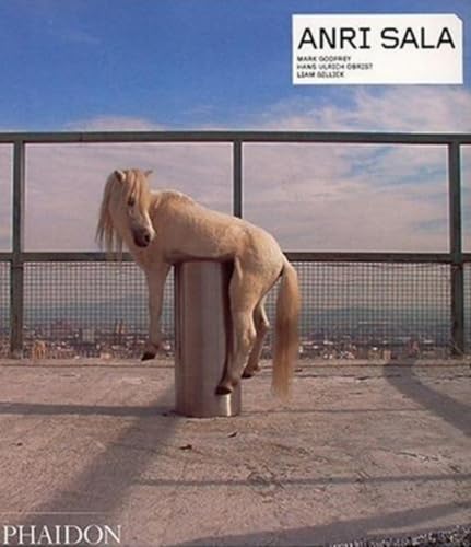 Anri Sala Cover