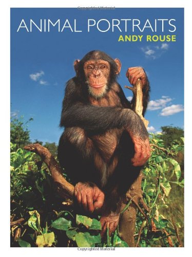 Animal Portraits Cover