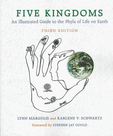Five kingdoms Cover