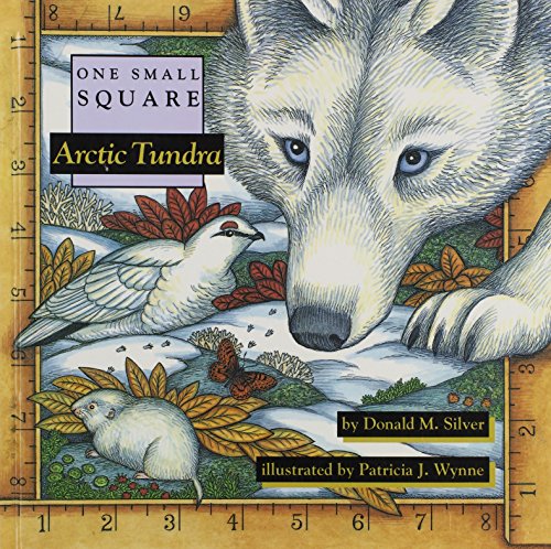 Arctic tundra Cover