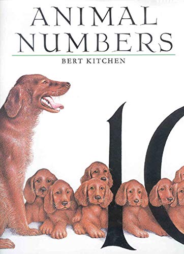 Animal numbers Cover