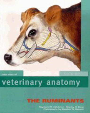 The ruminants Cover