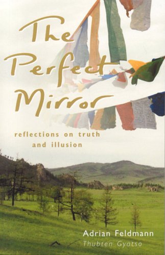 The Perfect Mirror Cover