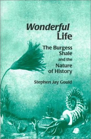 Wonderful Life Cover