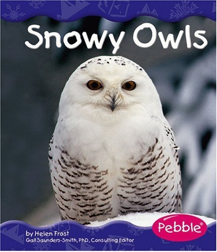 Snowy Owls Poster
