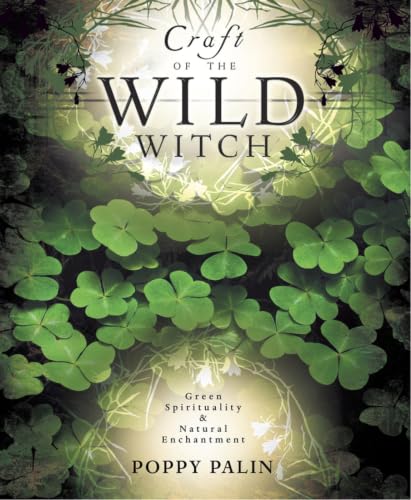 Craft Of The Wild Witch Cover