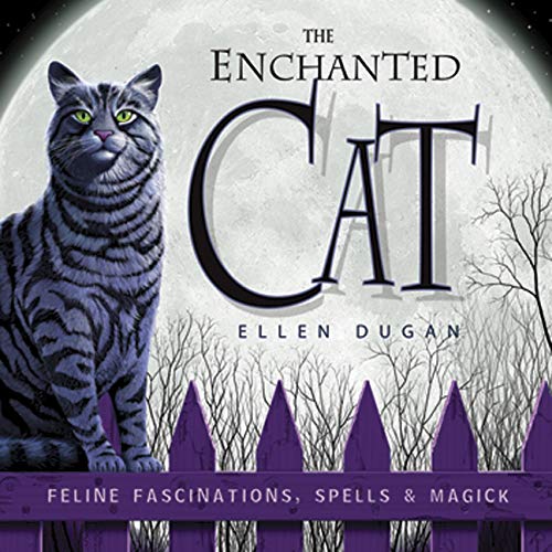 The enchanted cat Cover