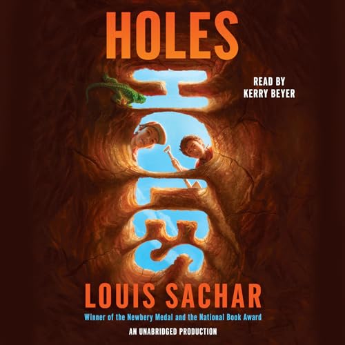 Holes Cover