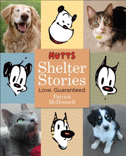 Shelter Stories Cover