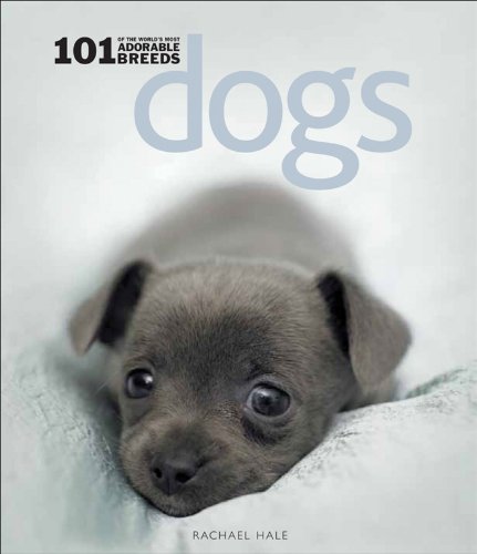 Dogs Cover