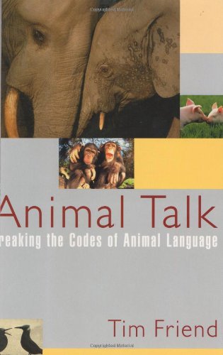 Animal Talk Cover