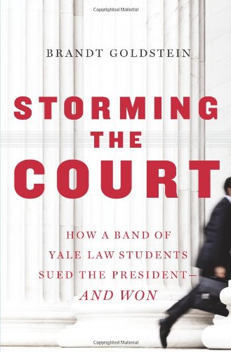 Storming the court Cover