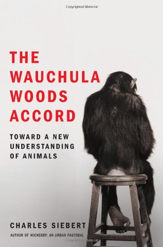 The Wauchula Woods accord Cover