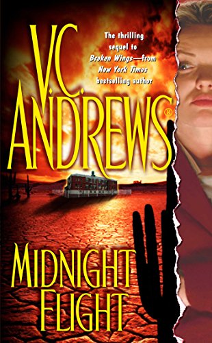 Midnight Flight Cover
