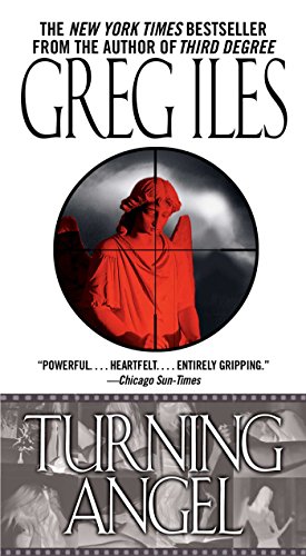Turning angel Cover
