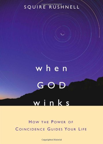 When GOD Winks Cover