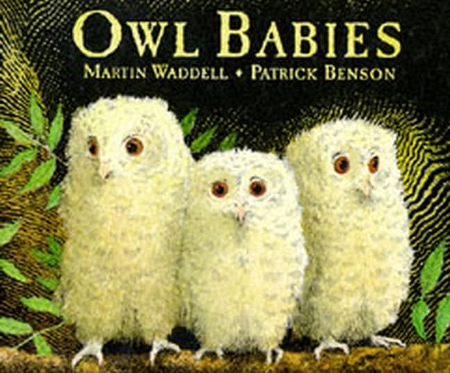 Owl babies Cover