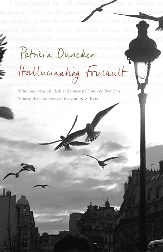 Hallucinating Foucault Cover