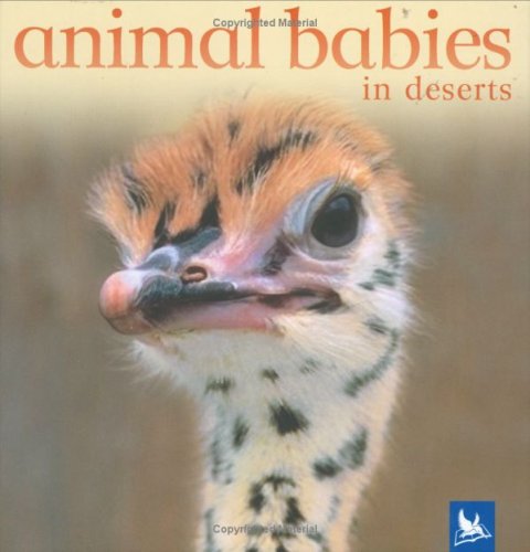 Animal babies in deserts Cover