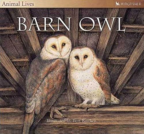 The Barn Owl Poster