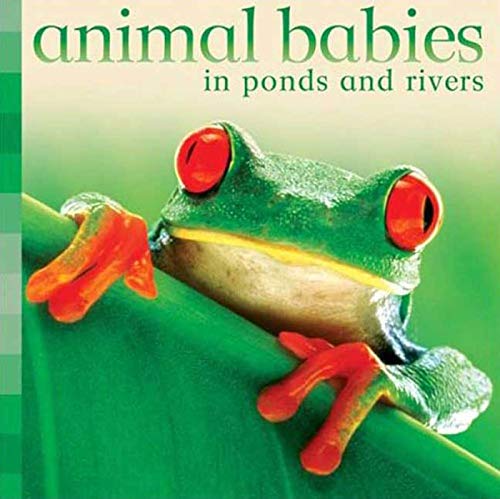 Animal Babies Ponds and Rivers (Animal Babies) Cover