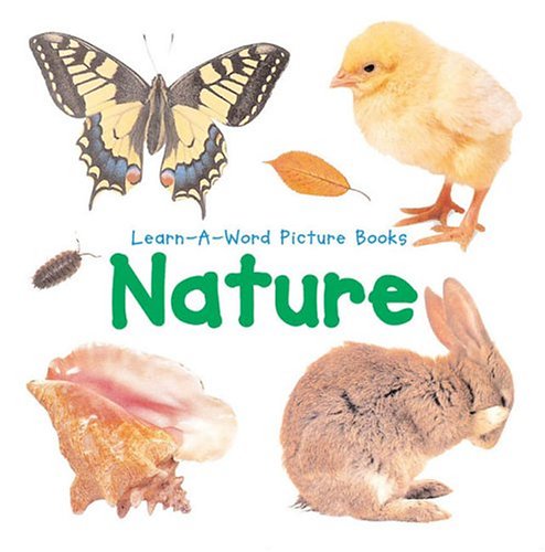 Learn-A-Word Picture Book Cover