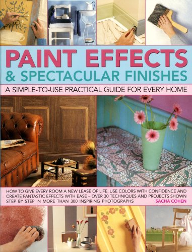 Paint Effects & Spectacular Finishes: a simple-to-use prac guide for every home Cover