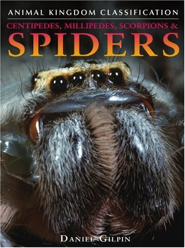 Centipedes, millipedes, scorpions, and spiders Cover