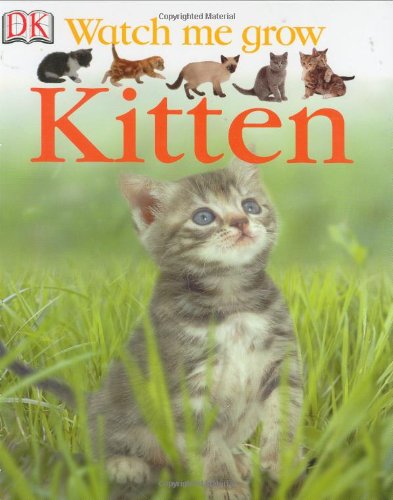 Kitten Cover