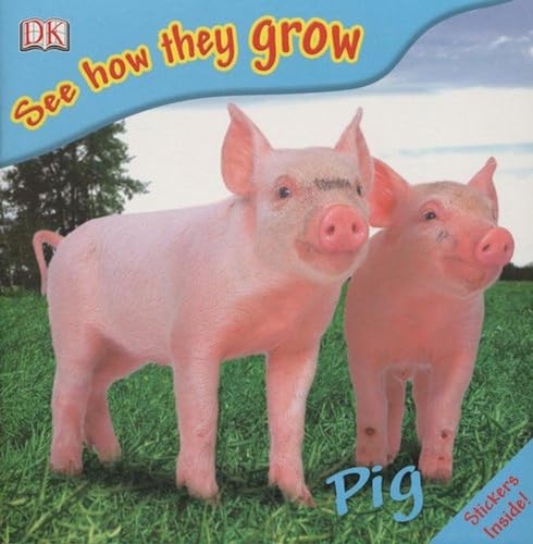 Pig Cover