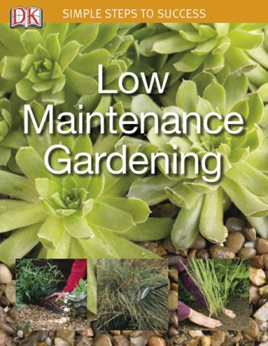 Low Maintenance Garden Cover