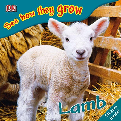 Lamb Cover
